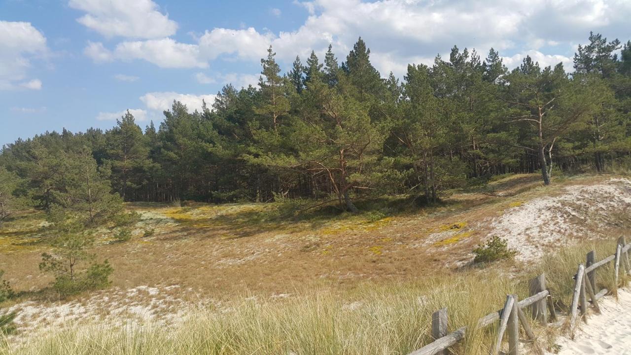 Magico Posto Villa Wierzchucino Kültér fotó